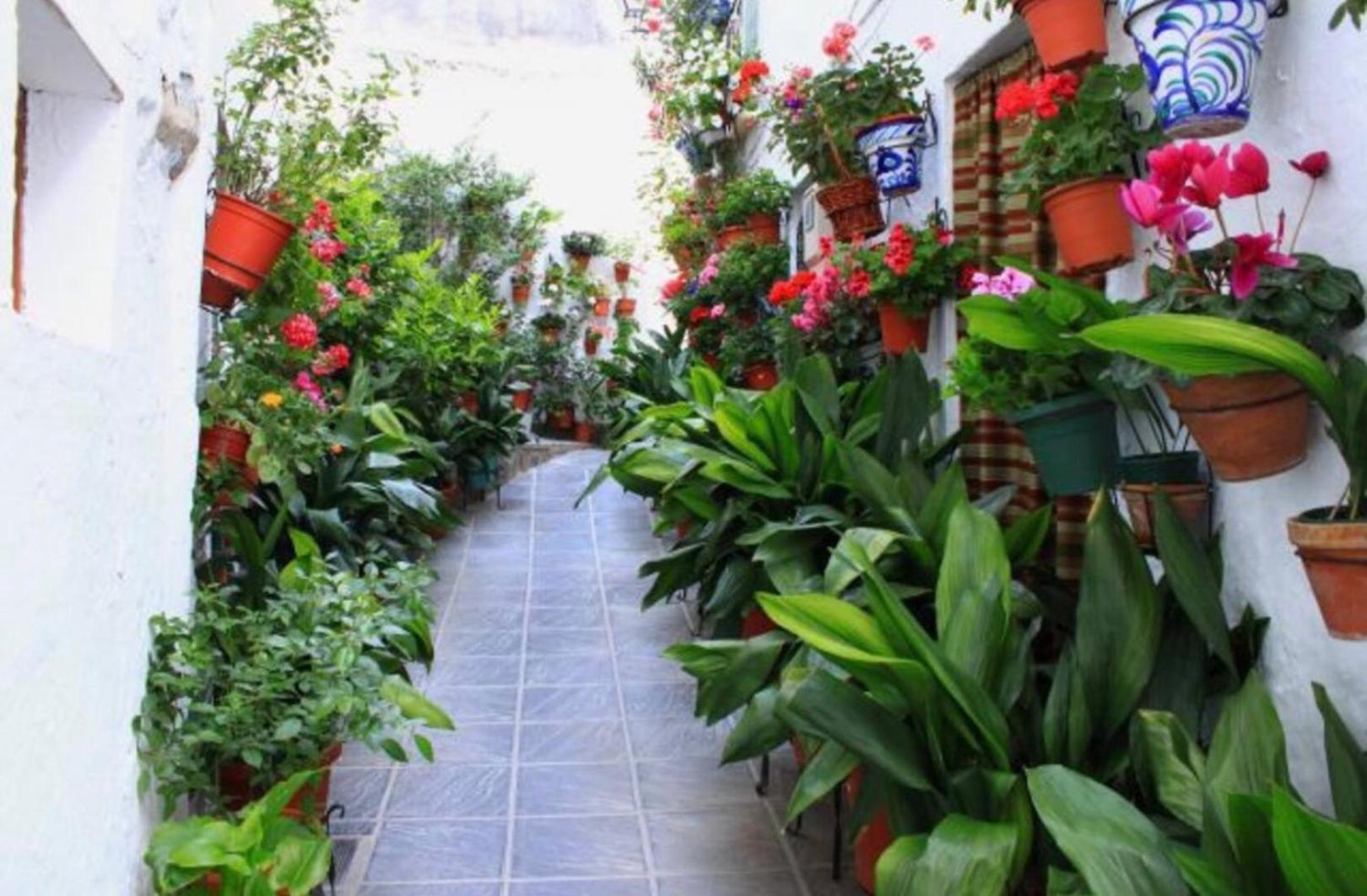 Apartamento Kariba Antigua Casa Anita Güéjar Sierra Exterior foto